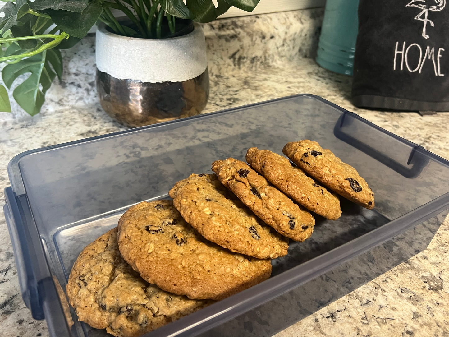 Soo Chewy Oatmeal cookies